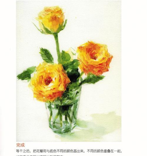 玫瑰花直杆子修剪的最佳时机和方法？