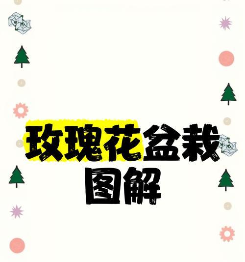 带花苞的玫瑰花移栽方法是什么？