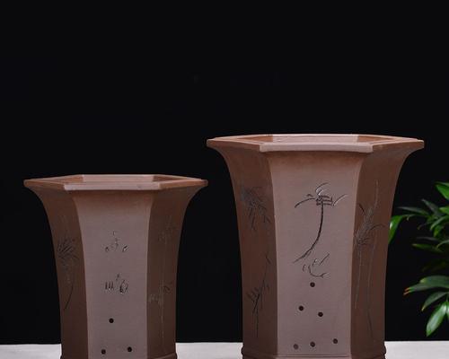 君子兰土专用土花盆使用方法是什么？