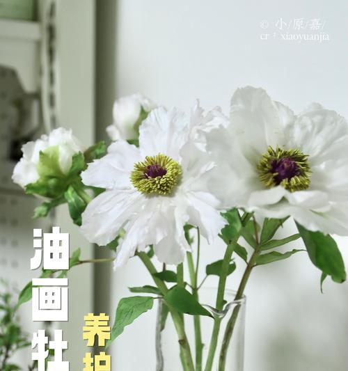 牡丹花枝条修剪的正确方法是什么？