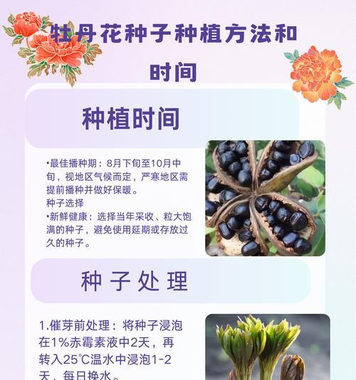 牡丹花不带根能开花吗？其开花的条件和原因是什么？