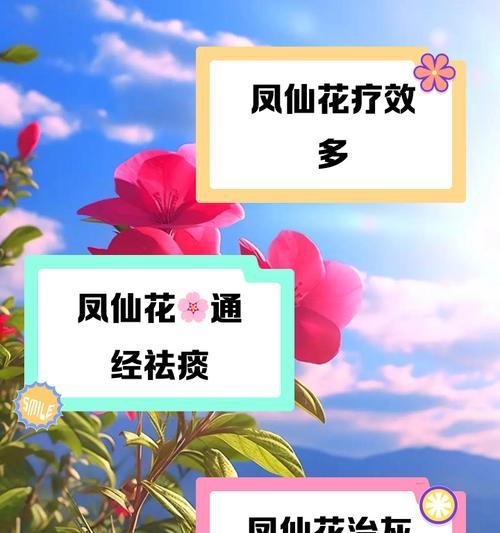 凤凰仙人掌会开花吗？如何正确养护？