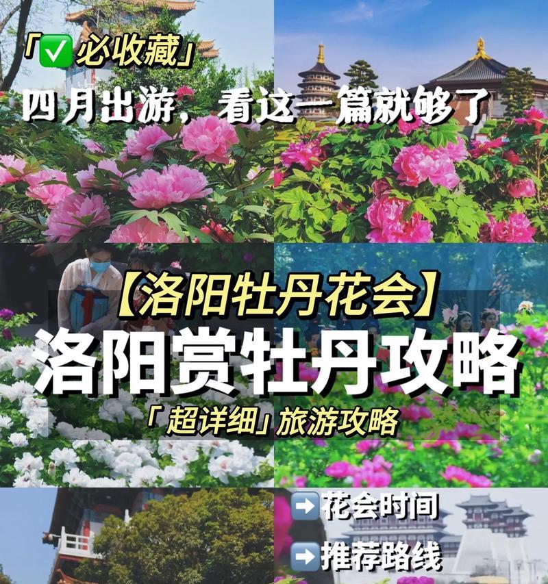 洛阳牡丹花为何不开花？