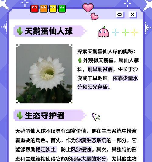 如何种植仙人球使其既健康又美观？