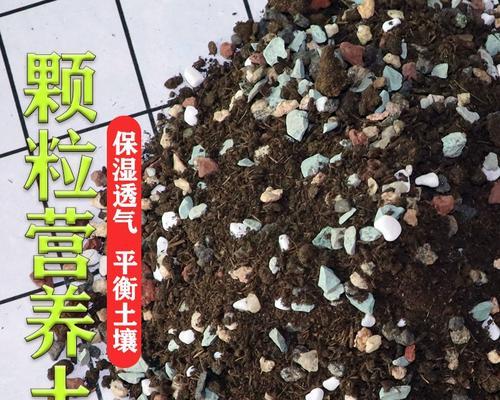 高颗粒土适合种植仙人球吗？种植仙人球的正确步骤是什么？