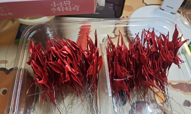 玫瑰花苞未形成时应如何照料？