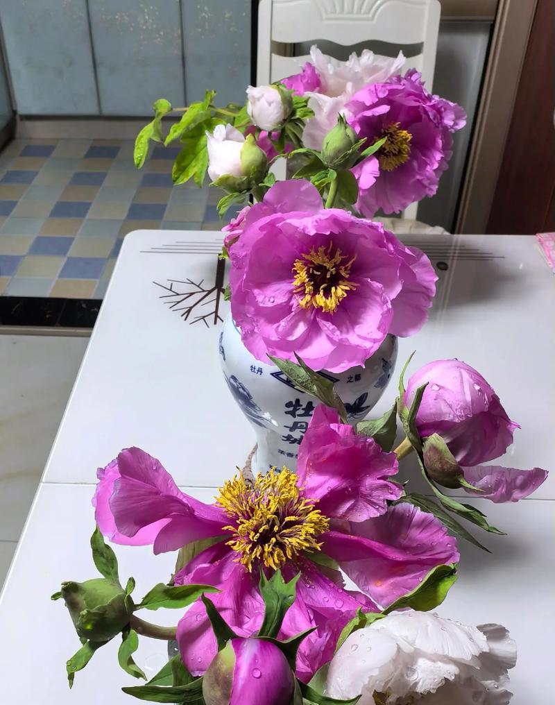 开花牡丹花的保养方法有哪些？