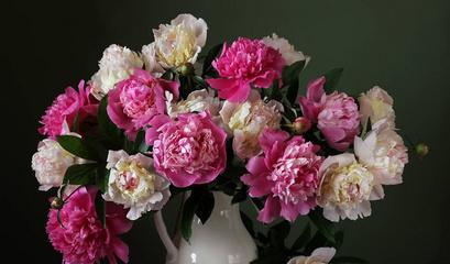 牡丹花插在花瓶中怎样才能更美观？有哪些装饰技巧？