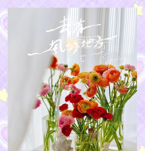 春天购买的带盆牡丹花如何养护？需要注意什么？