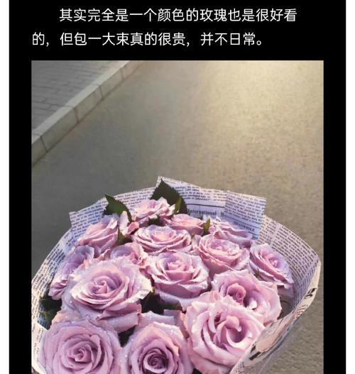 玫瑰花小束真花的日常养护要点是什么