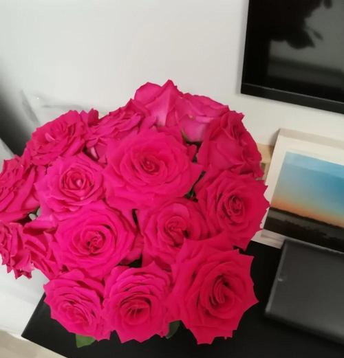 玫瑰花小束真花的日常养护要点是什么