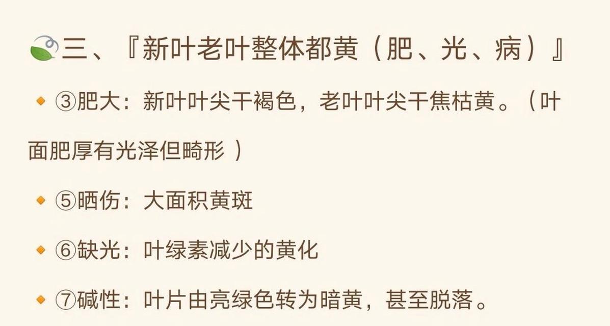 君子兰叶尖黄化怎么办？需要补充哪些肥料？