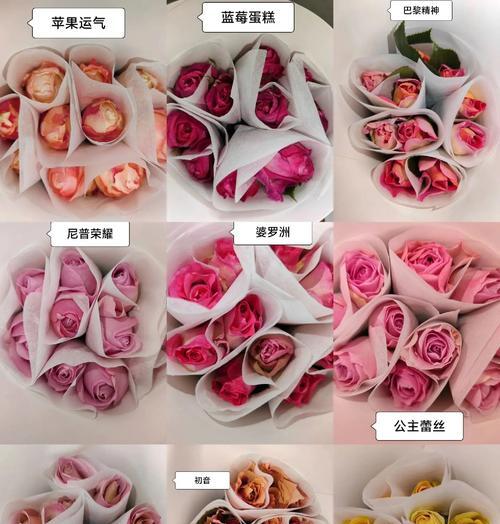 经过筛选的玫瑰花品种是什么？如何选择最适合的玫瑰品种？
