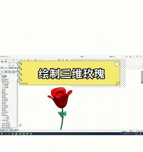 如何制作特效浇水玫瑰花？特效浇水对玫瑰花有何影响？