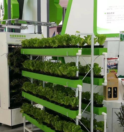 杨桃仙人掌坚果屋顶种植方法是什么？屋顶种植需要注意什么？
