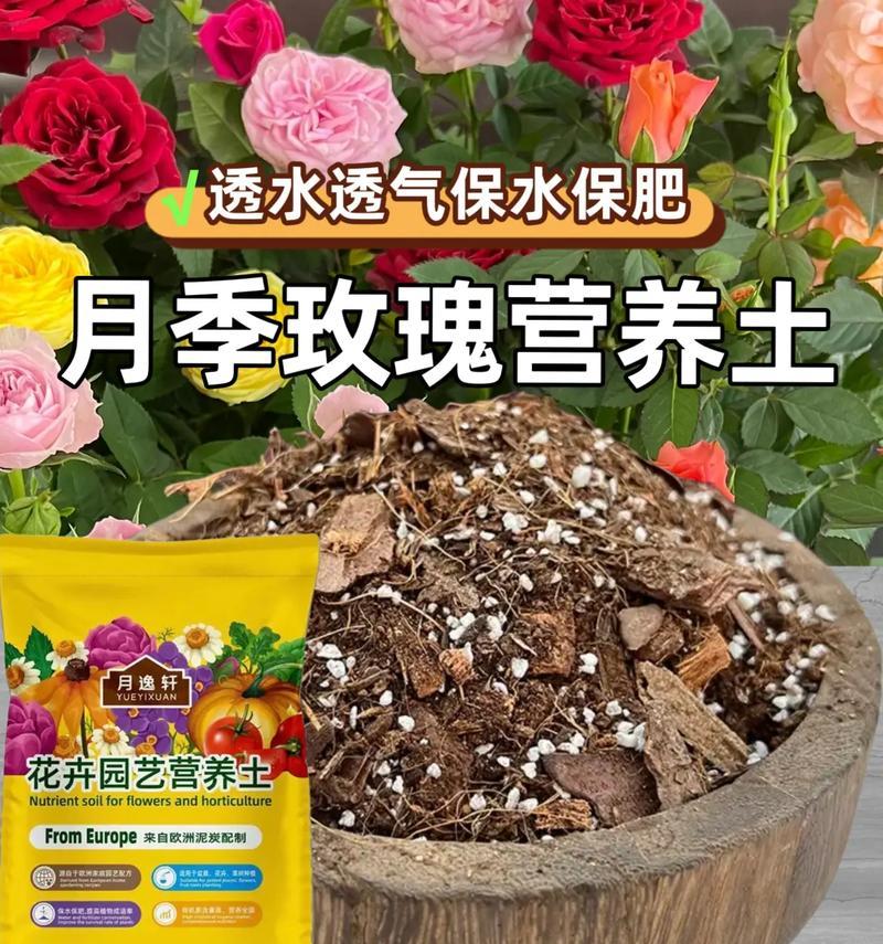 种植玫瑰花需要多少土壤？土壤的选择有何讲究？