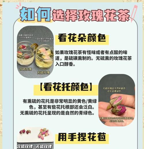 玫瑰花品种测评结果有哪些？