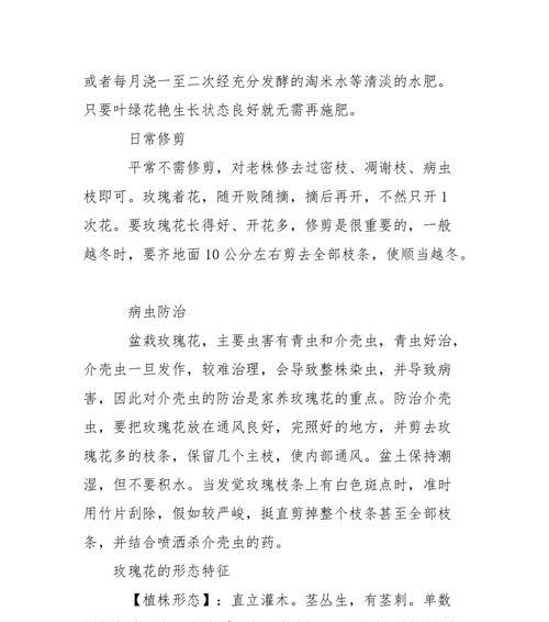 盆栽玫瑰花修剪步骤和注意事项？