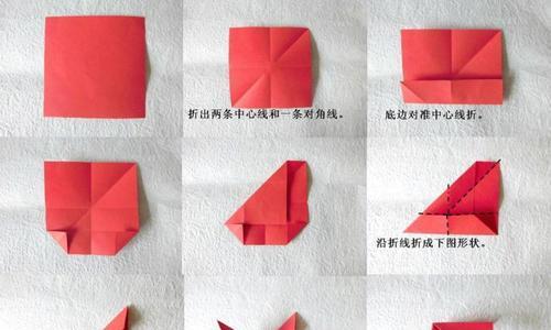 单杆玫瑰花的修剪步骤图解是什么？