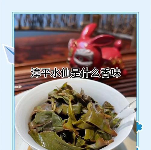 仙人掌用茶叶水好吗怎么养？仙人掌使用茶叶水的正确方法是什么？