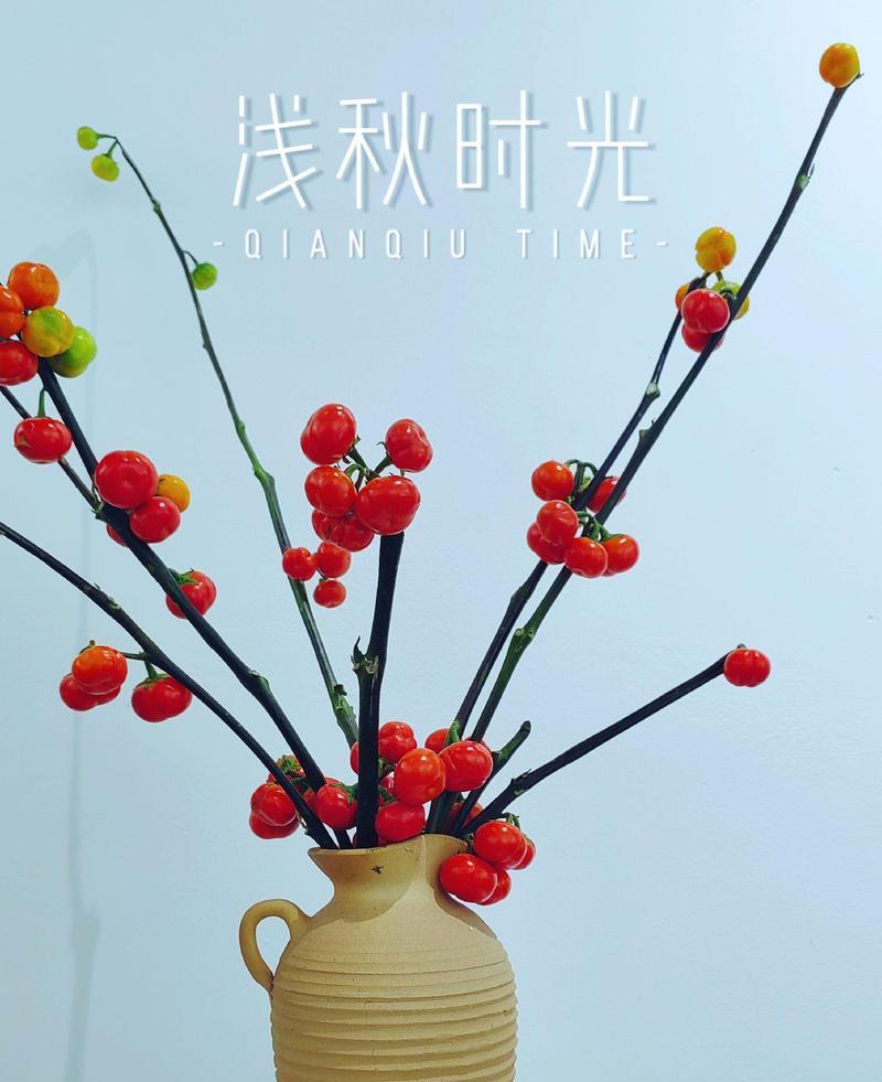 多种玫瑰花怎么插花瓶好看？有哪些插花技巧？