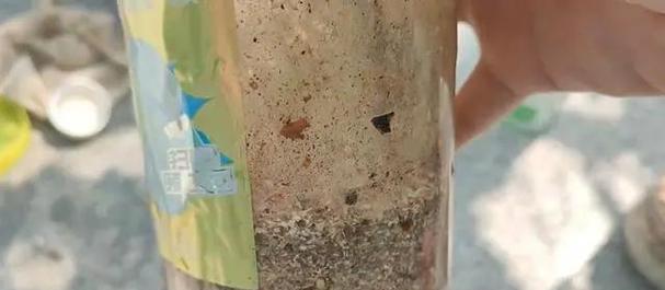 君子兰埋鸡蛋壳的好处？埋鸡蛋壳后君子兰如何养护？