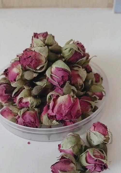 新疆玫瑰花冬季如何保暖？过冬管理有哪些要点？