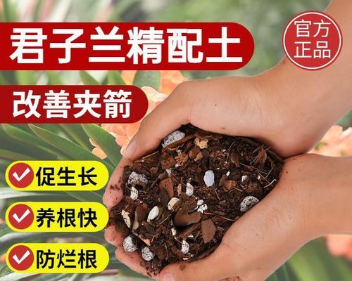 君子兰栽培应选择哪种土壤？