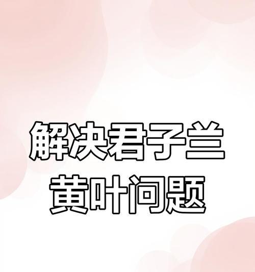 君子兰缺水导致黄叶的原因有哪些？
