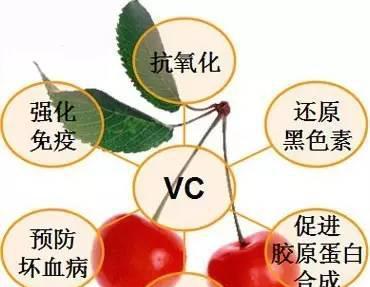 沙丁鱼仙人球的养护技巧有哪些？如何保持其健康生长？