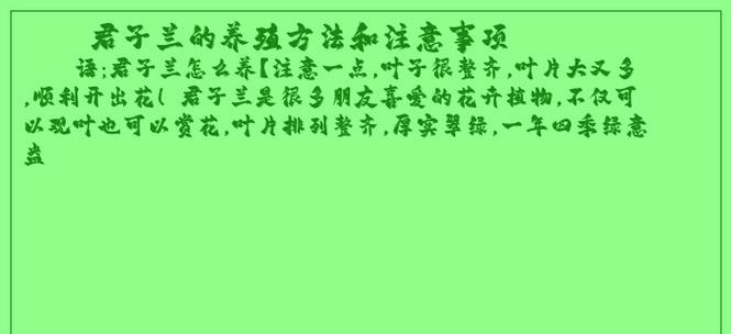 整盆君子兰养护要点是什么？有哪些注意事项？