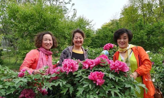 牡丹花小叶子的修剪技巧是什么？