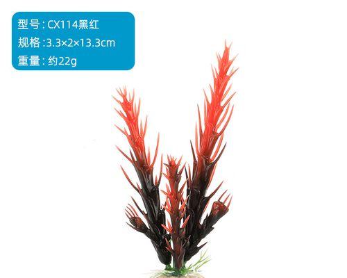 鱼缸仙人掌开花需要哪些条件？
