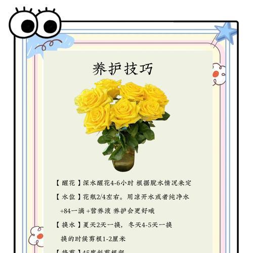 如何延长玫瑰花的花期？有哪些有效方法？