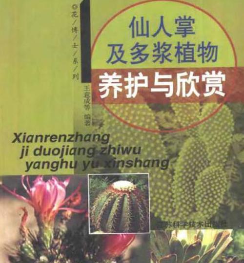 多层仙人掌的养护技巧有哪些？