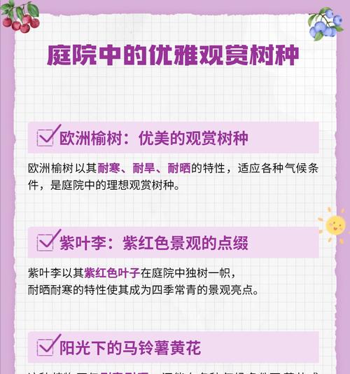 仙人掌红太阳繁殖方法有哪些？如何高效繁殖？