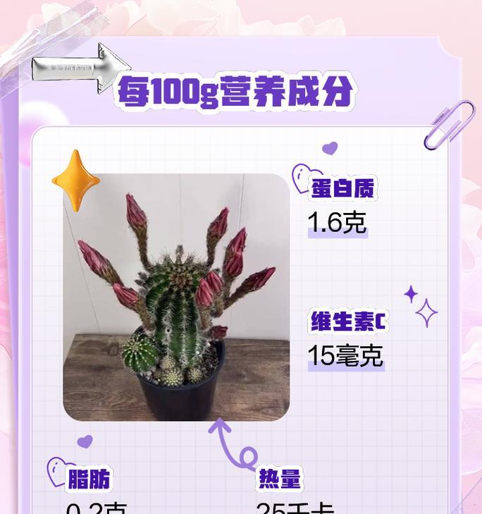 仙人掌红太阳繁殖方法有哪些？如何高效繁殖？