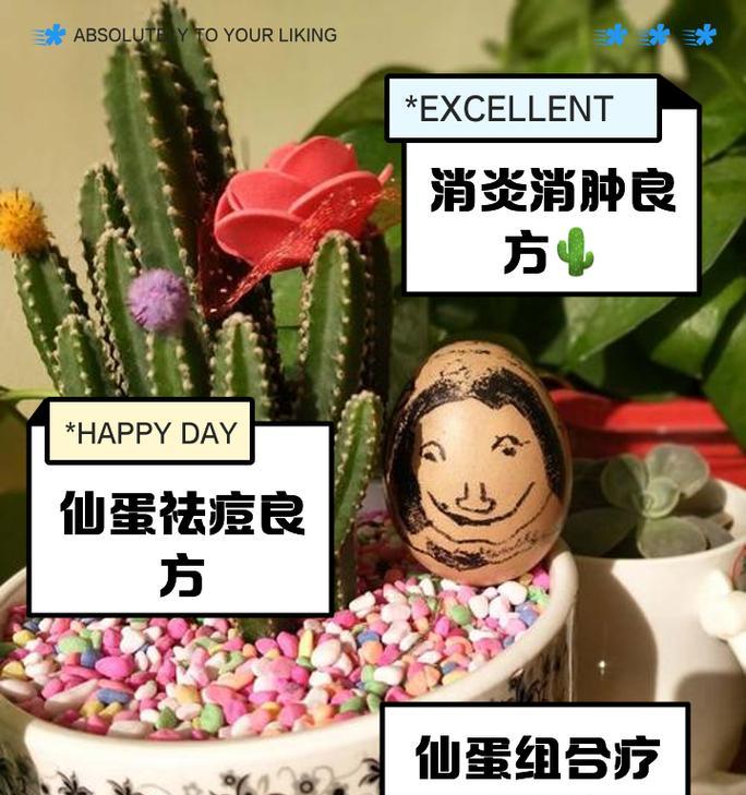 仙人掌发黄腐烂的原因是什么？如何有效处理？