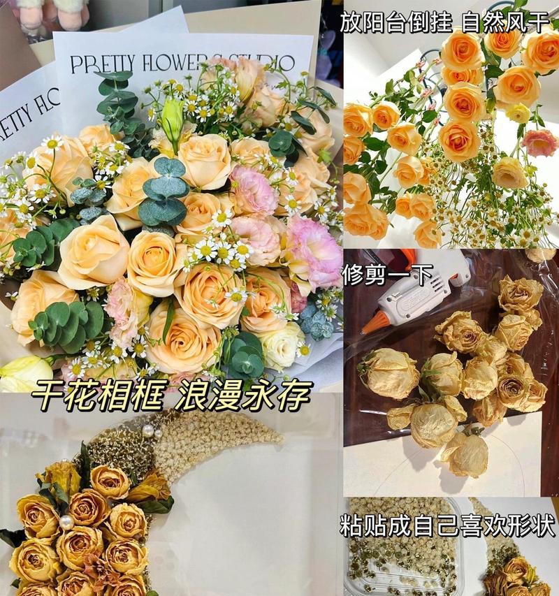永生花代表的花语有哪些？