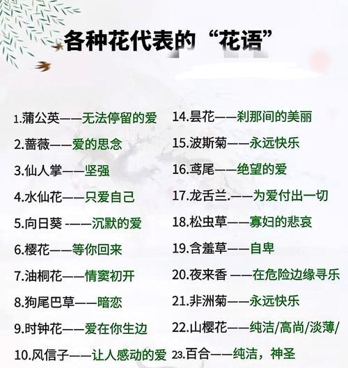 独特花语尊享版有何特别之处？