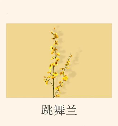 诡异花朵的花语有何深意？它们通常象征什么？