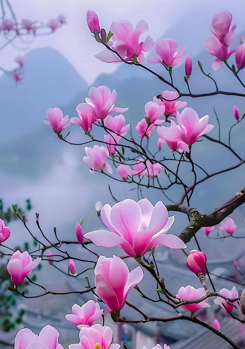 跨年送花的花语是什么？这些花有什么特别含义吗？