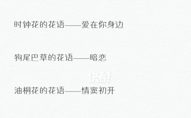 每种花的花语都有什么不同？