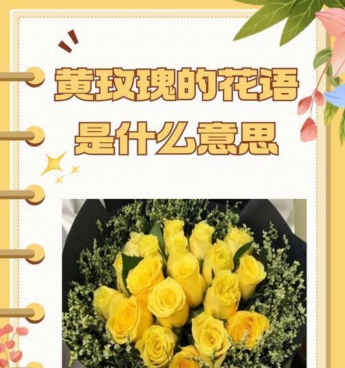 母亲节的花语：送花指南和花语详解