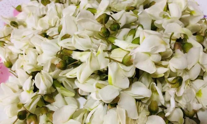 甜香花代表的含义是什么？