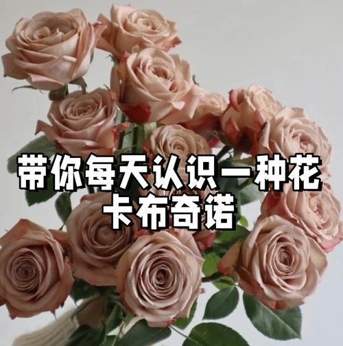 开篇核心突出