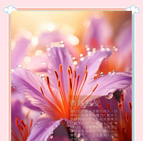 香草花语代表什么？