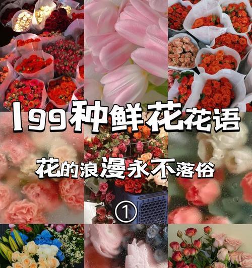 哪些花的名字既浪漫又好听？它们的花语是什么？