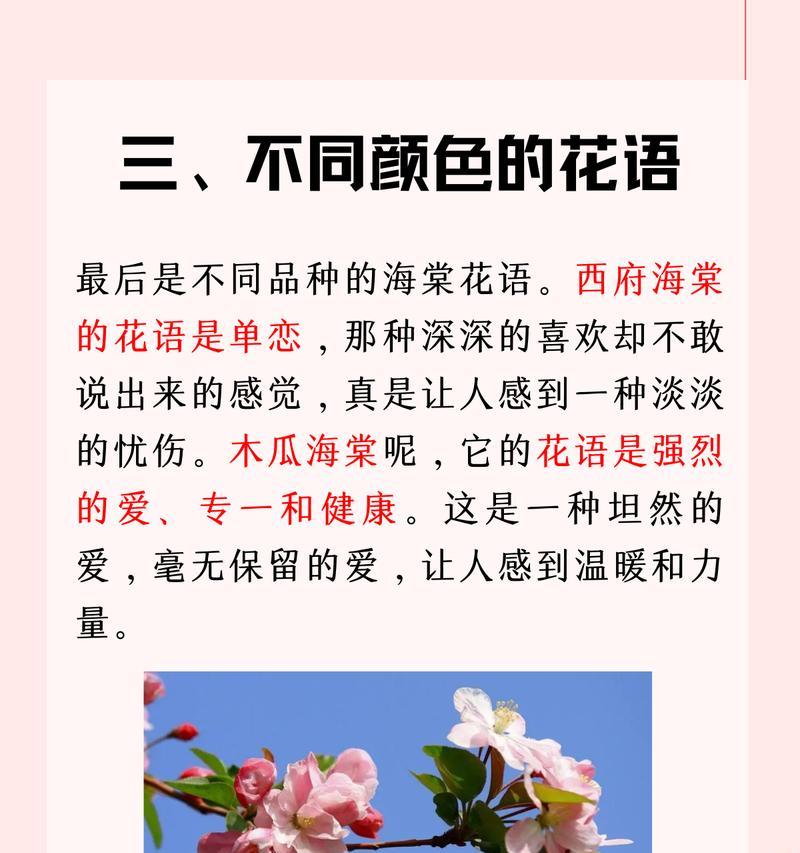 完整版与简版花语内容：深度解析与比较