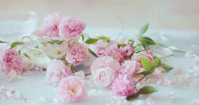 哪种花代表思念的爱？花语是什么？